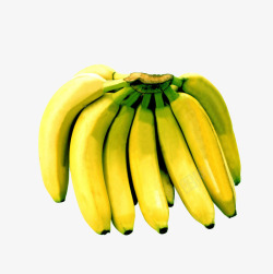 香蕉水果一串一排香蕉素材