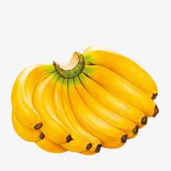 香蕉水果图案素材