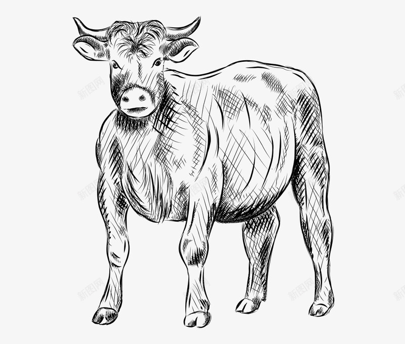 牛气冲天矢量图ai免抠素材_88icon https://88icon.com 手绘 牛 线稿 黑色 矢量图