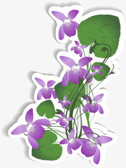 美丽紫色紫罗兰贴纸素材