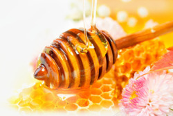 养生天然蜂蜜花朵蜂巢素材