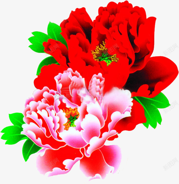 创意效果红色的鲜艳的花朵png免抠素材_88icon https://88icon.com 创意 效果 红色 花朵 鲜艳