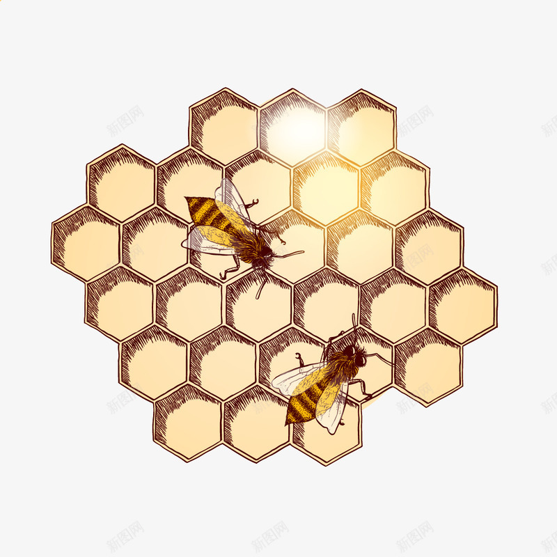 蜂蜜蜂巢png免抠素材_88icon https://88icon.com 发光 手绘 蜜蜂 黄色