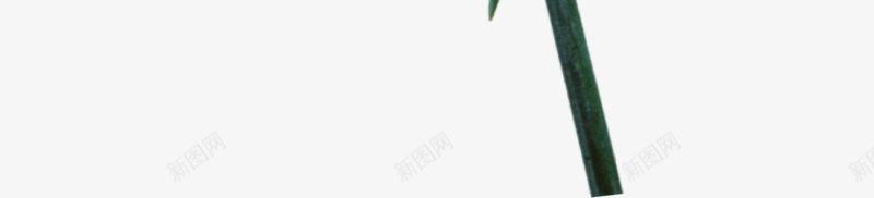 红色鲜艳花朵母亲节png免抠素材_88icon https://88icon.com 母亲节 红色 花朵 鲜艳