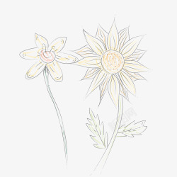 植物花卉手绘线稿矢量图素材