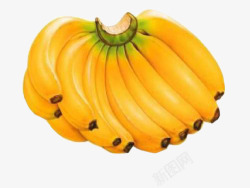 一大把黄色的香蕉素材