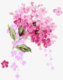 一簇鲜艳的粉色花朵素材