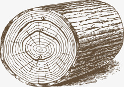 原始木头写实的原始木材高清图片
