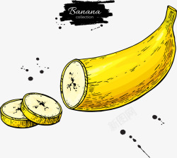 切片香蕉矢量图素材