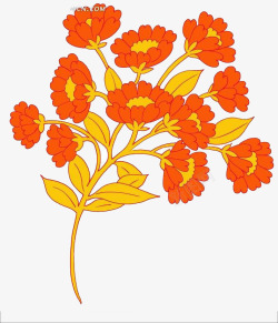 鲜艳的橙色花团素材