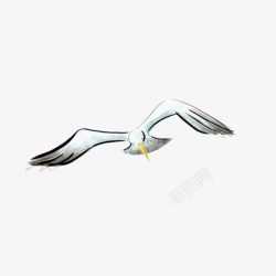 飞舞海鸥灰色手绘海鸥元素高清图片
