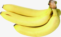 黄色新鲜水果香蕉素材