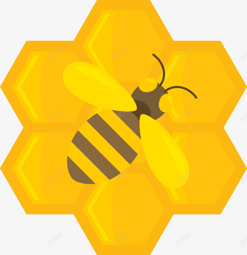 卡通扁平蜜蜂蜂蜜png免抠素材_88icon https://88icon.com 卡通 扁平 蜂蜜 蜜蜂