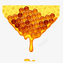 蜂蜜蜂窝素材