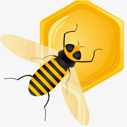 采蜂蜜的蜜蜂矢量图素材