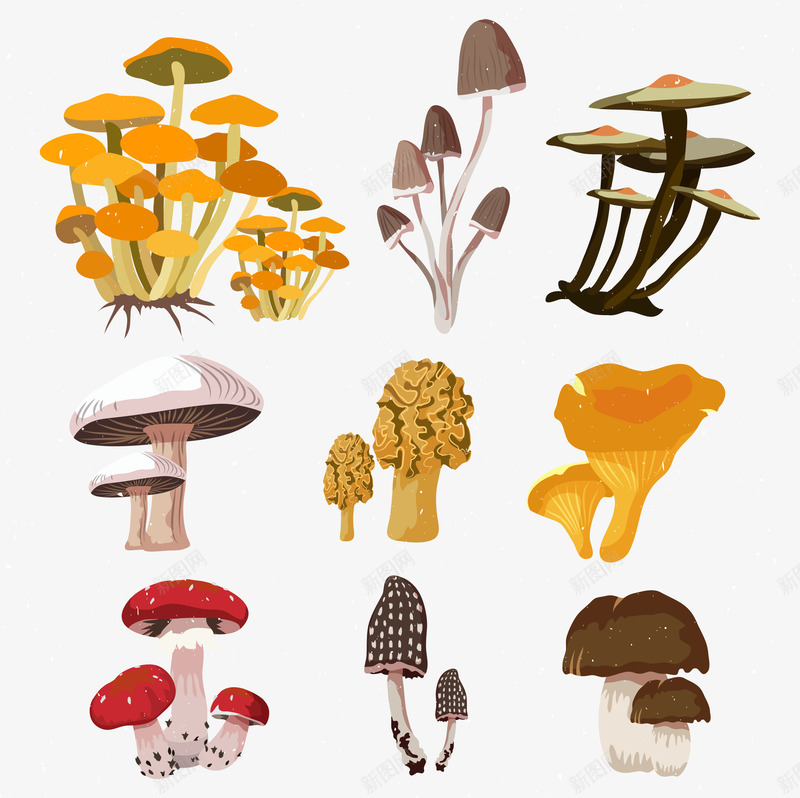 蘑菇样式集合png免抠素材_88icon https://88icon.com 创意 斑点 特色蘑菇 红色蘑菇 蘑菇 颜色