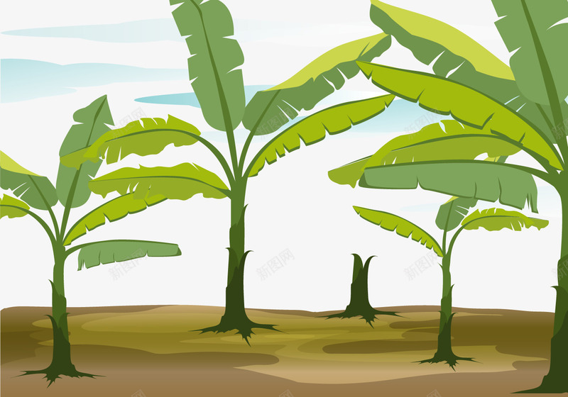 亚热带地区香蕉树png免抠素材_88icon https://88icon.com 农林种植 园林 土地 未成熟 果园 果树 香蕉
