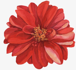 手绘红色鲜艳花朵装饰素材
