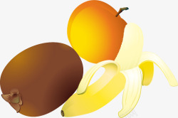 香蕉猕猴桃杏水果矢量图素材