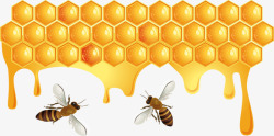 金黄的蜂巢金黄色蜂巢高清图片