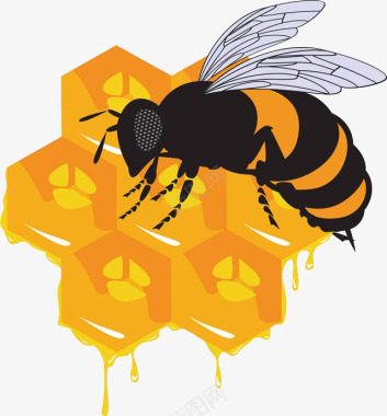 站立的蜜蜂手绘金色图标蜂巢图标