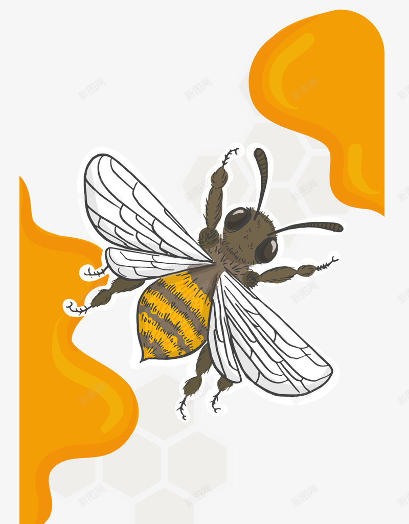 手绘蜂蜜和蜜蜂矢量图ai免抠素材_88icon https://88icon.com 手绘 蜜蜂 矢量图