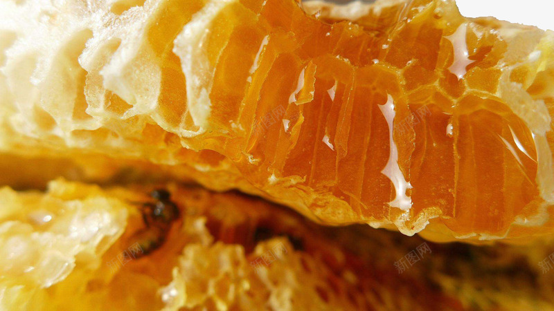 纯天然土蜂蜜实物png免抠素材_88icon https://88icon.com 免抠素材 免费素材 土蜂蜜 纯天然 蜂蜜素材