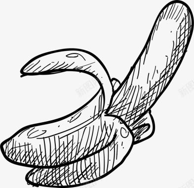 手绘水果图片香蕉素描图标图标