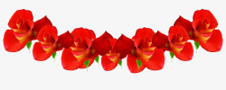 红色鲜艳玫瑰花朵装饰素材