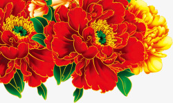 合成创意鲜艳的红色的海棠花素材