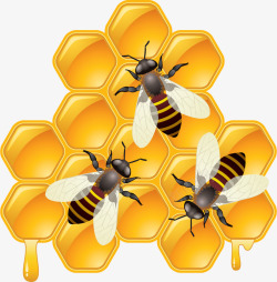 采蜜的小蜜蜂素材