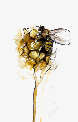 蜂巢插画水彩蜜蜂高清图片