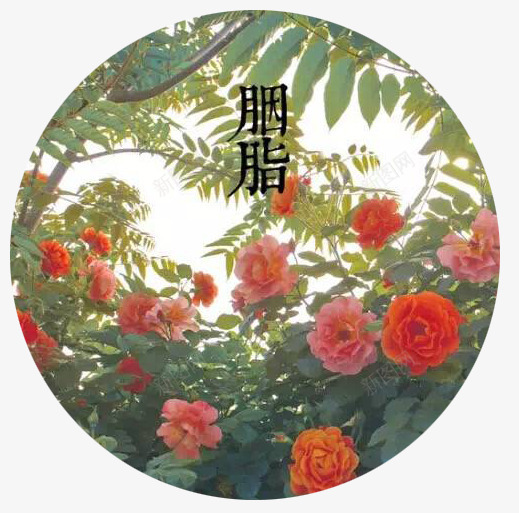 胭脂颜色范例png免抠素材_88icon https://88icon.com 圆形图片 月季花