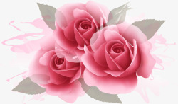 手绘粉红玫瑰花素材