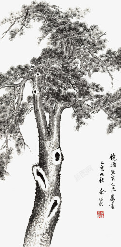 国画大松树素材