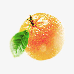 橘黄色橘子素材