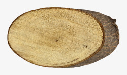 卡其色粗糙木屑木头截面实物素材