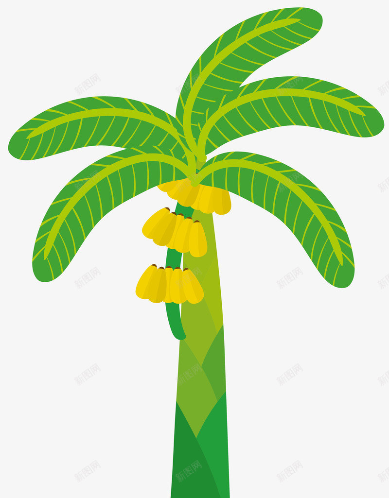 扁平风格粗大的香蕉树png免抠素材_88icon https://88icon.com 卡通香蕉树 扁平风格 果树 热带香蕉树 矢量香蕉树 粗大