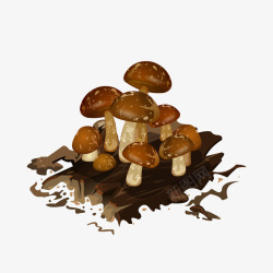 木头蘑菇素材