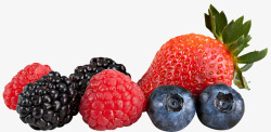 桑果蓝莓草莓莓果浆果素材