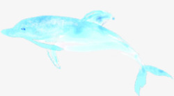 蓝色海豚背景素材