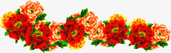 摄影红色的海棠花造型素材