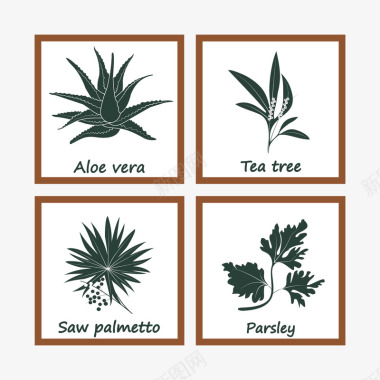 经典植物图标图标