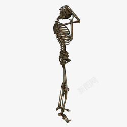 胸骨黑色造型装饰人体骨骼装饰图高清图片