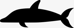 海豚剪影矢量图素材