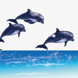 海豚在跳出海面矢量图素材