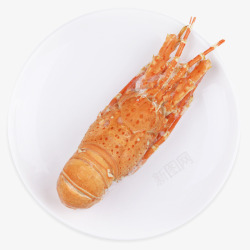 红龙虾进口龙虾高清图片