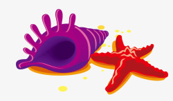 紫色的海螺海螺海星高清图片