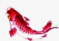 水彩手绘红色鲤鱼造型素材