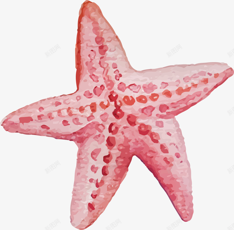 粉红色的海星矢量图ai免抠素材_88icon https://88icon.com 五角星 海星 漂亮 生物 粉红色 美丽 矢量图